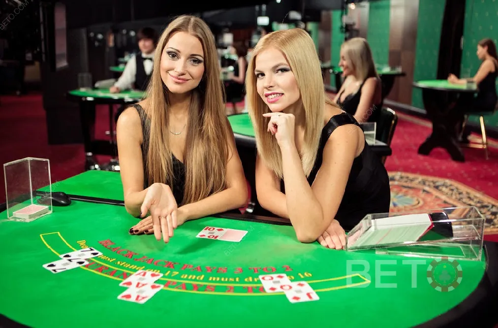 การเลือกห้องไลฟ์และบัตรกิจกรรมบนแพลตฟอร์ม bk8